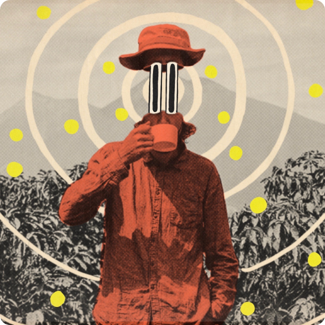 Photo collage of a coffee drinker in the coffee fields