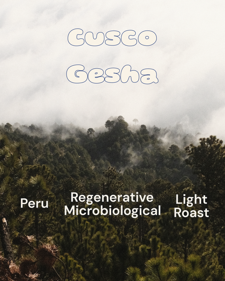 Cusco Gesha