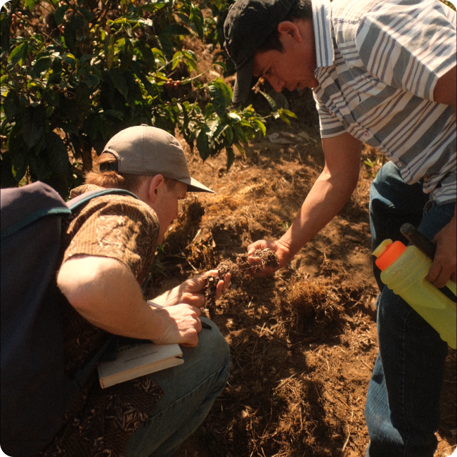Our farm partner and us looking at the rich soil in his coffee field