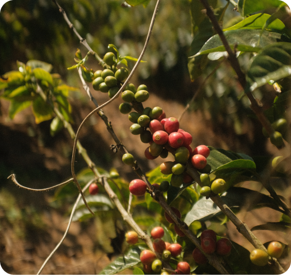 [highlight]FEELING [/highlight]HELPLESS [highlight]IN A[/highlight]  HOPELESS [highlight] WORLD?[/highlight]