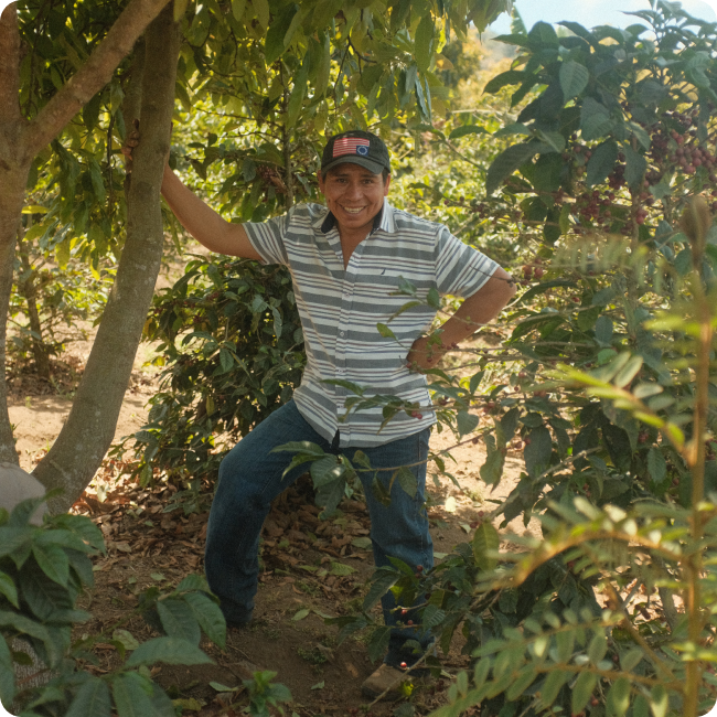Smiling Biota farm partner in his lush coffee field in Guatemala