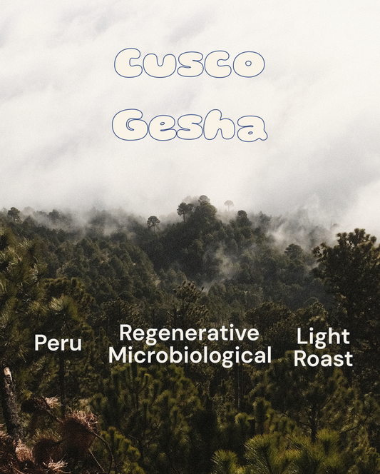 Cusco Gesha